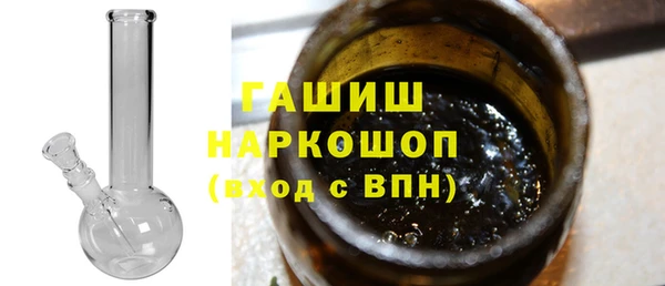 прущие грибы Новодвинск