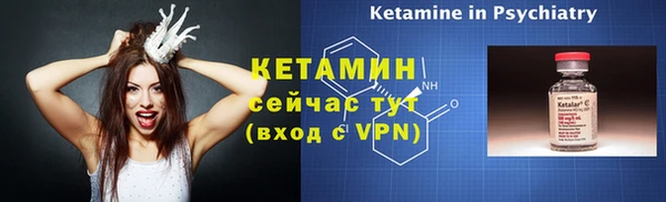 прущие грибы Новодвинск