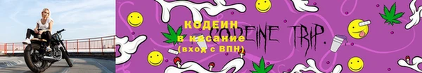 индика Нефтегорск