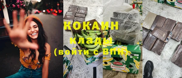 прущие грибы Новодвинск