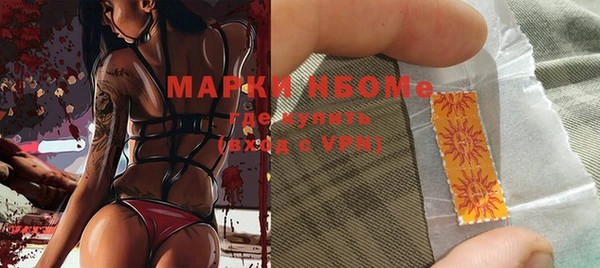 прущие грибы Новодвинск