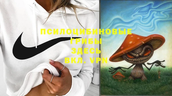 мяу мяу мука Новозыбков