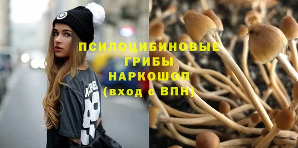хмурый Белокуриха