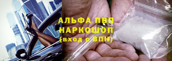 индика Нефтегорск