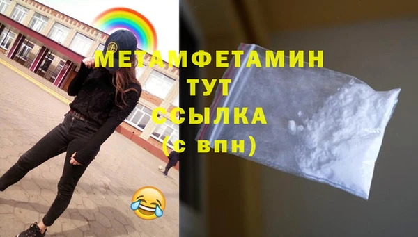 прущие грибы Новодвинск