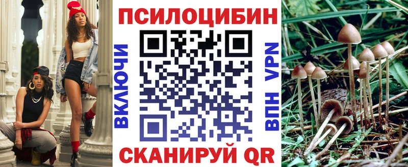 Псилоцибиновые грибы Psilocybe  наркота  Оса 